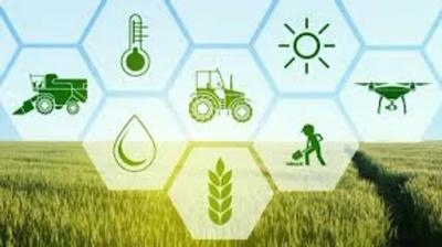 Crop Doctor