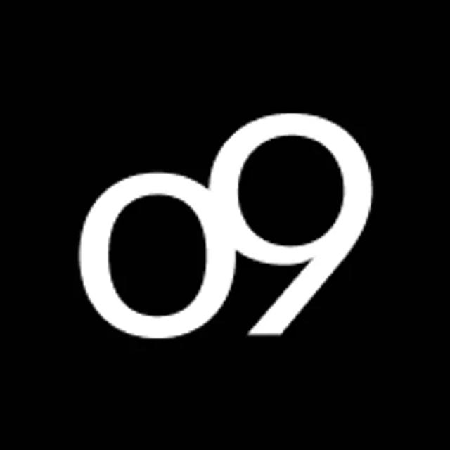 o9 Digital Brain