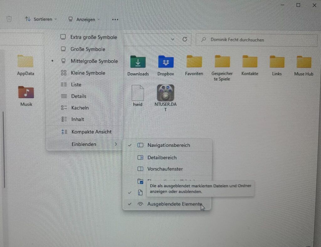 Screenshot der OptionsApp, Wie kann ich meine Sessions speichern oder ein Backup machen?: Manuelle Backups einrichten