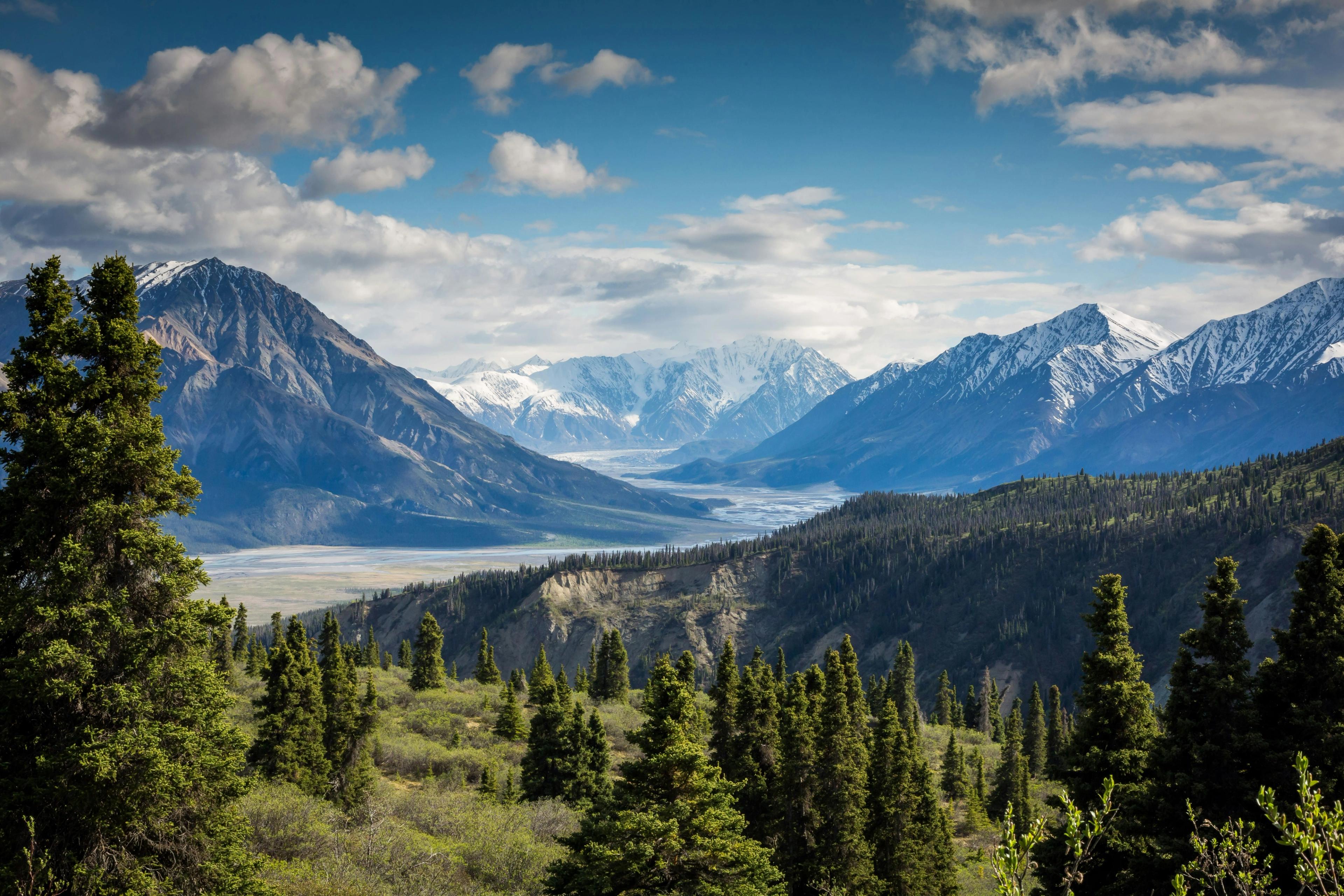 A braided glacial river runs through a broad valley flanked by snow-capped mountains, with spruce forest in the foreground under scattered clouds.