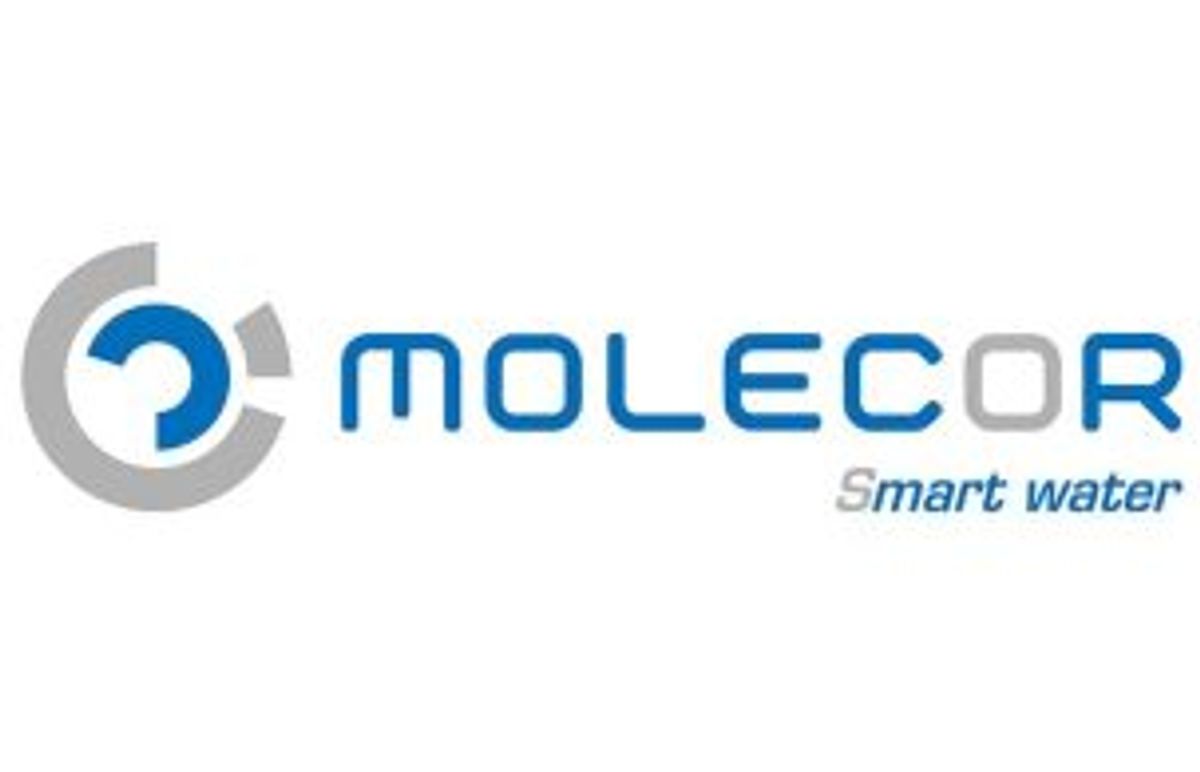Logo Molecor
