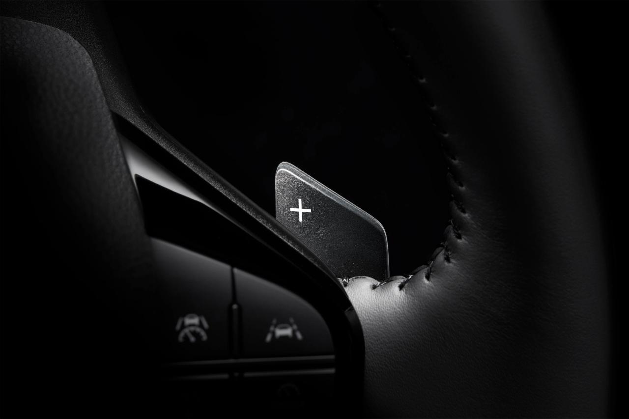Paddle Switches Subaru Uncharted