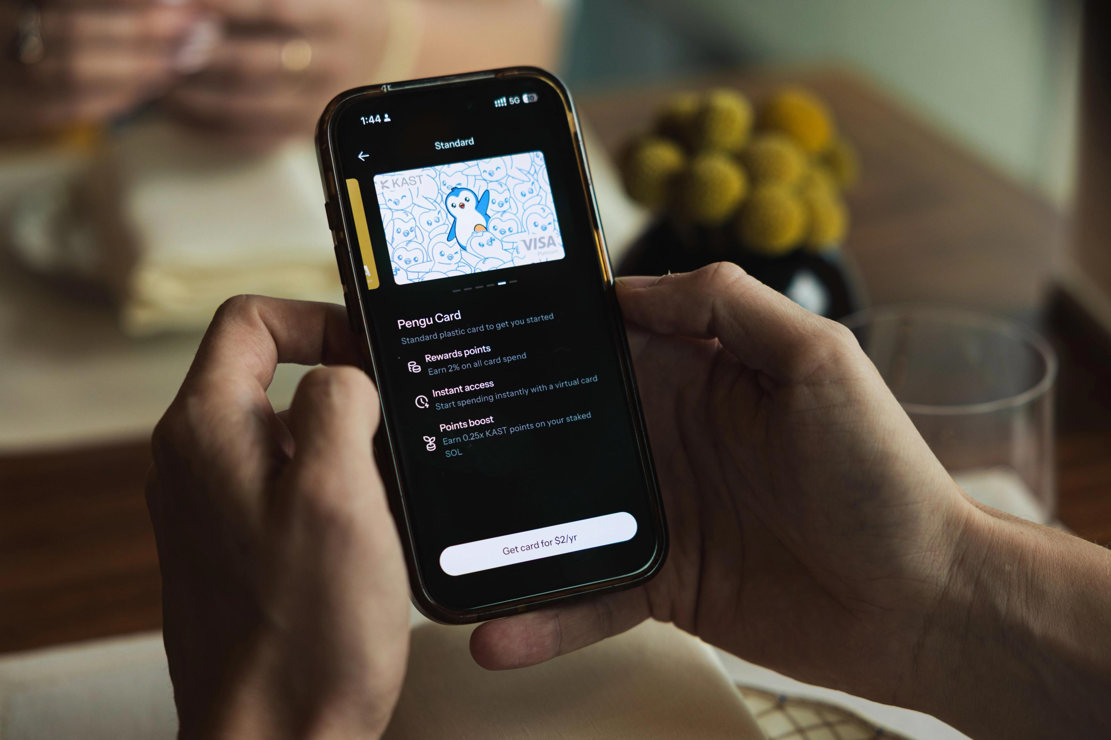 Pengu Card, stablecoin card