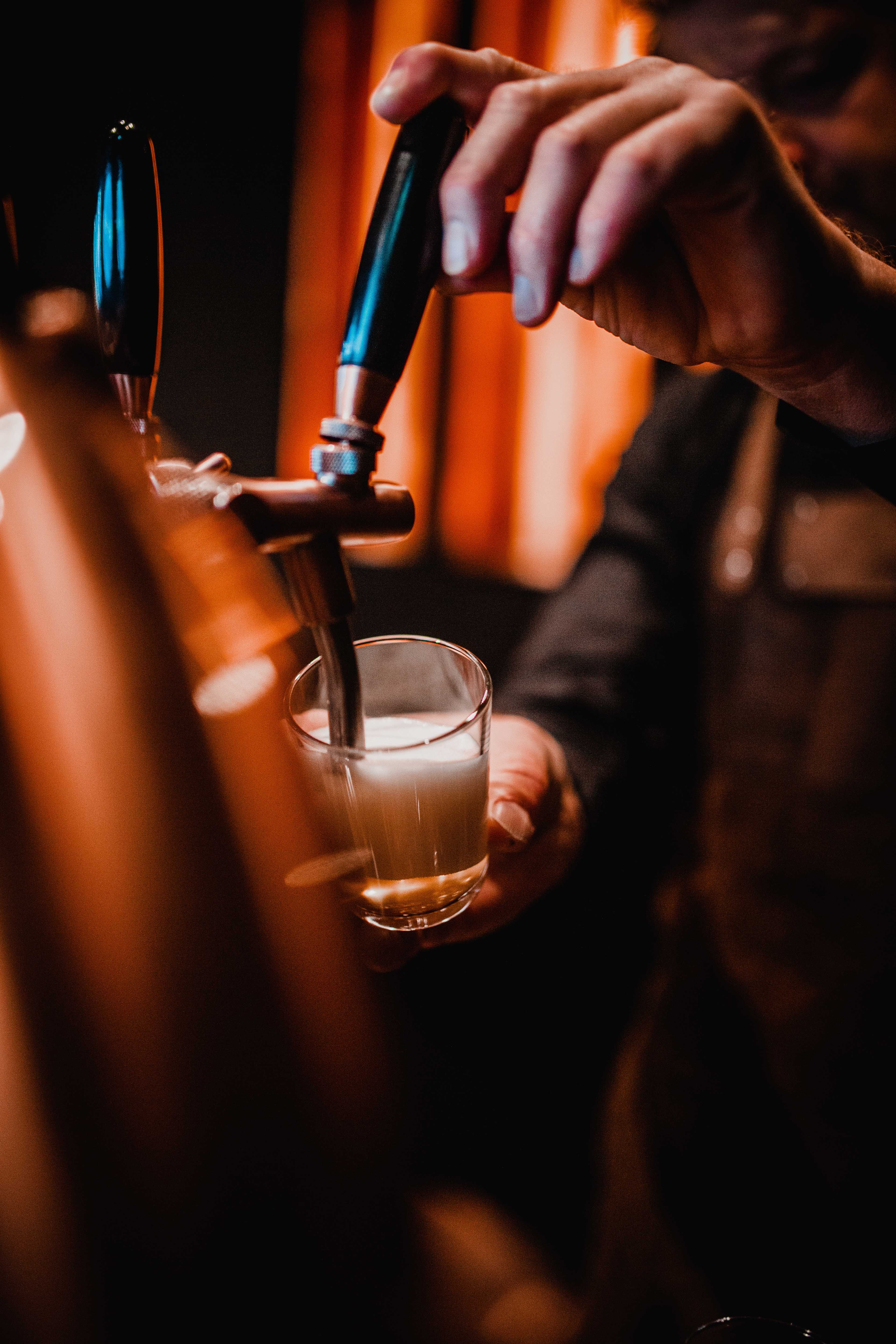 ost og ølsmaking panorama