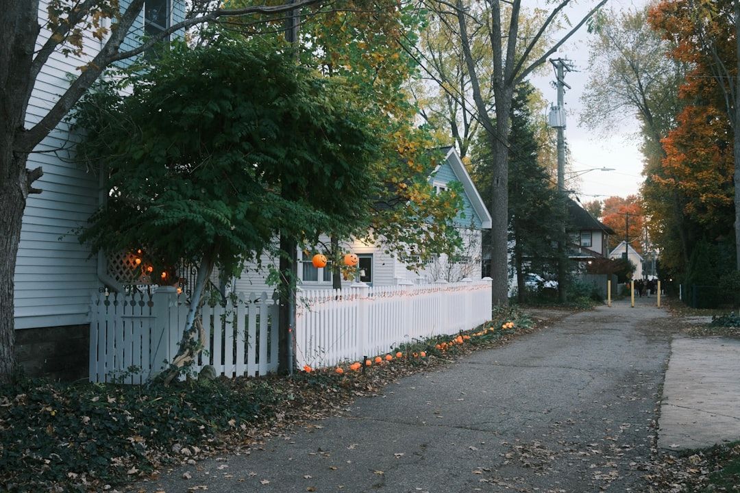A white picket fence lines a tree-lined street in autumn.