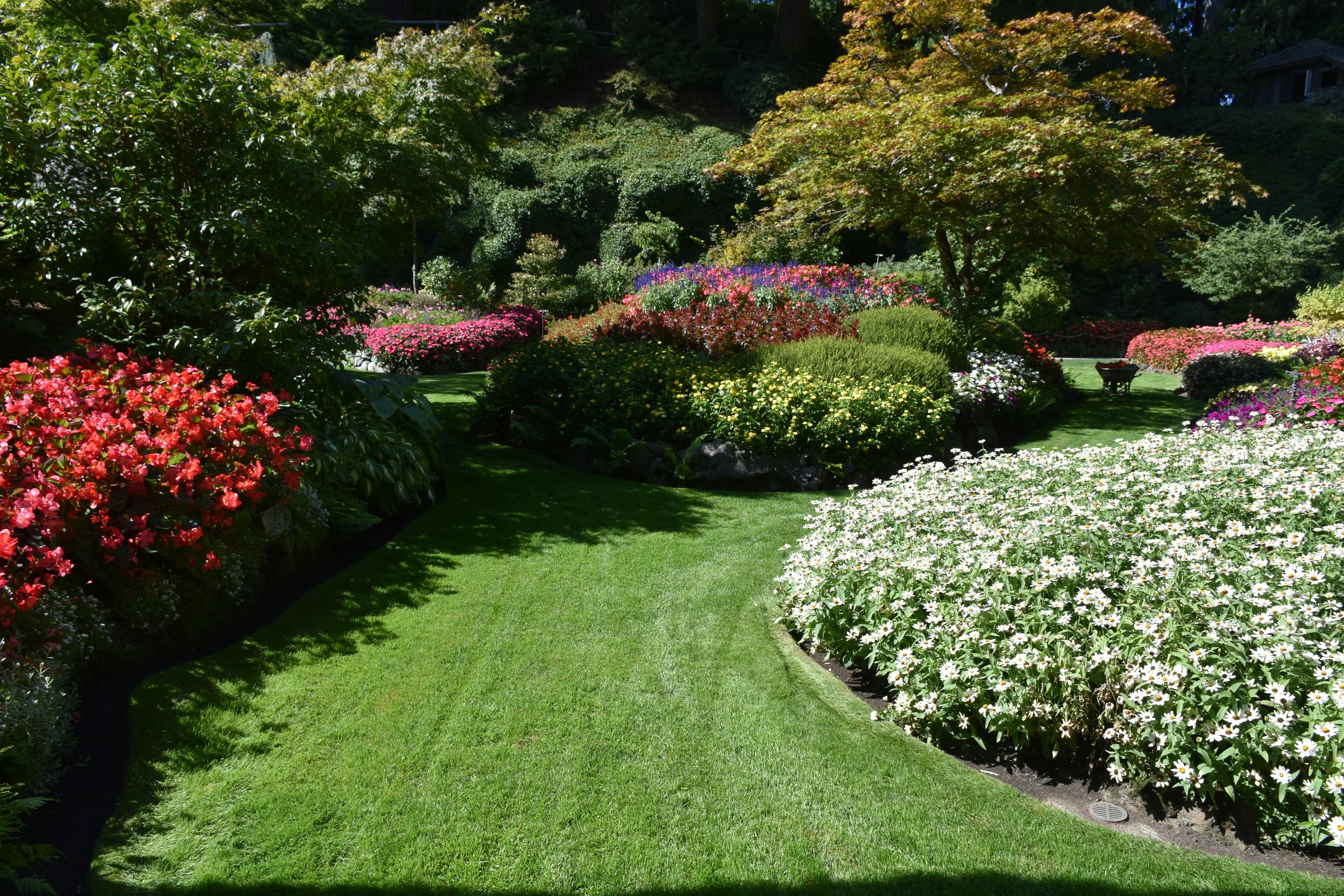 Fence installation - professional work example 1