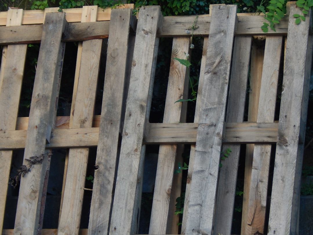 a close up of a wooden fence with vines growing on it