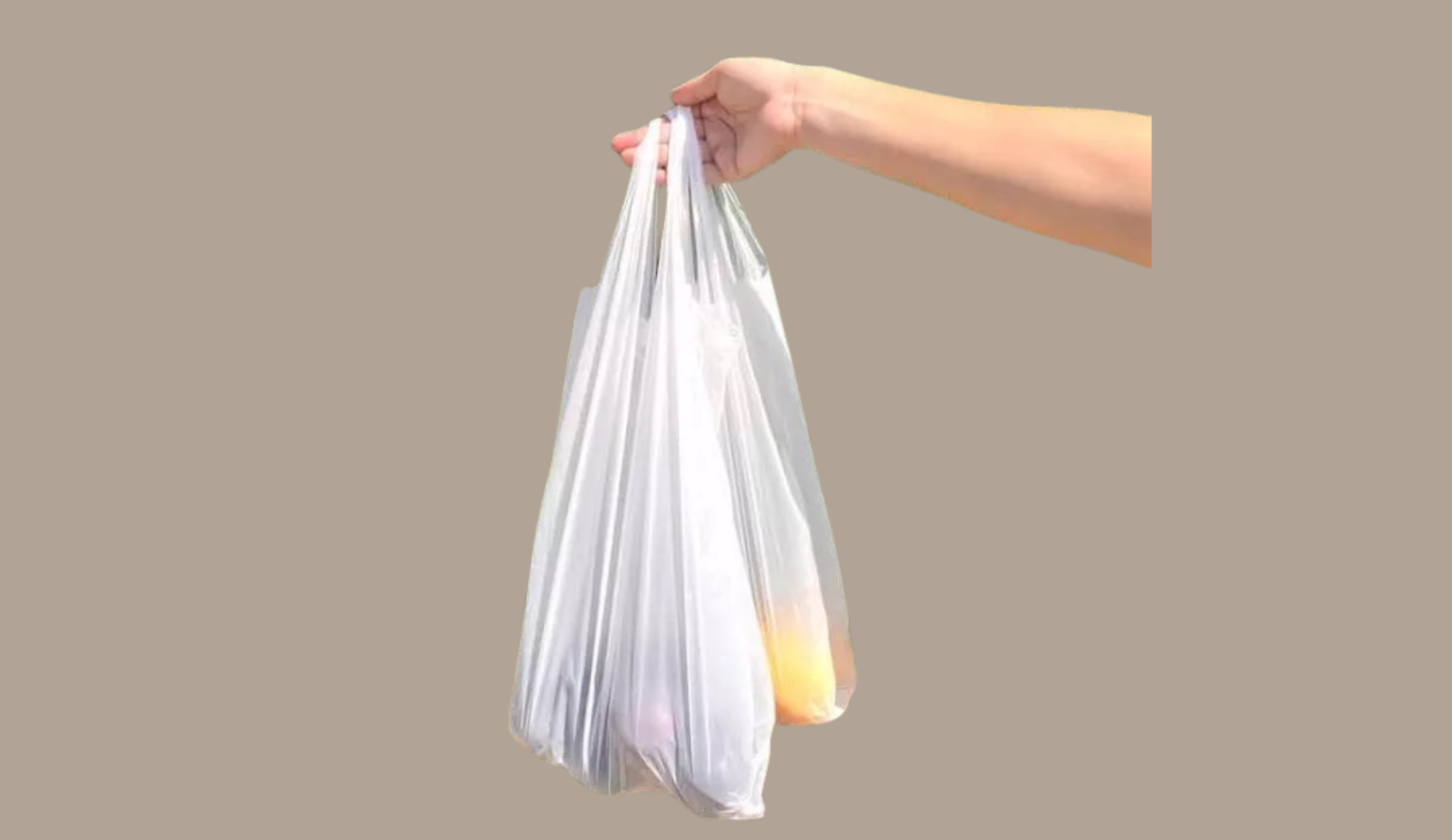 Bolsa camiseta — imagen 2