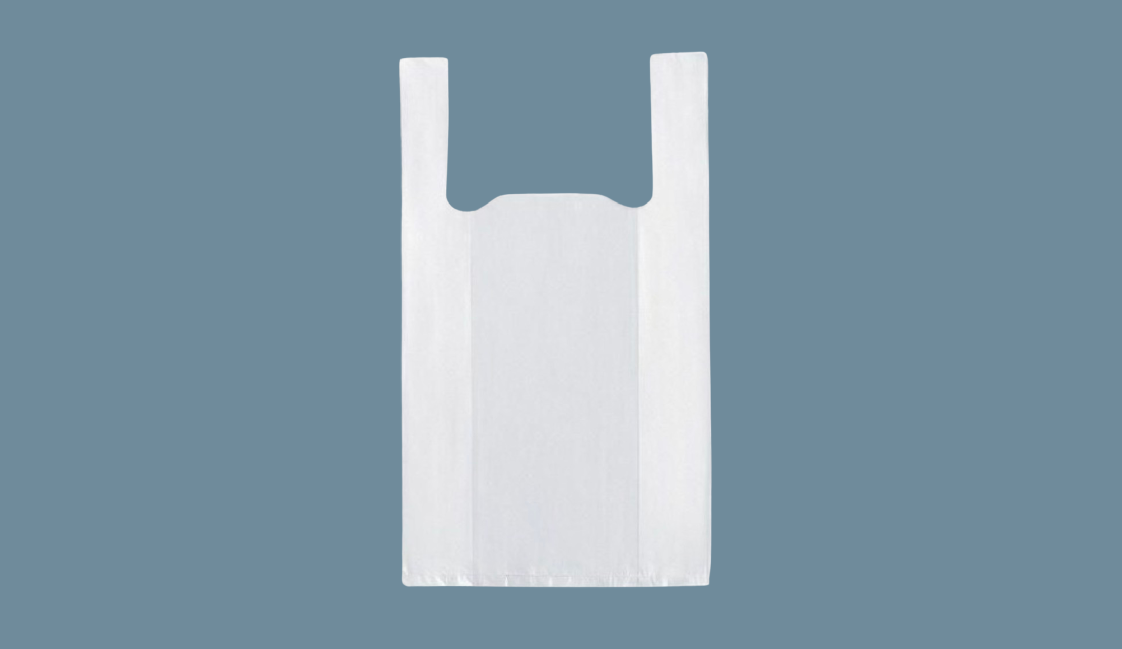 Bolsa camiseta — imagen 4