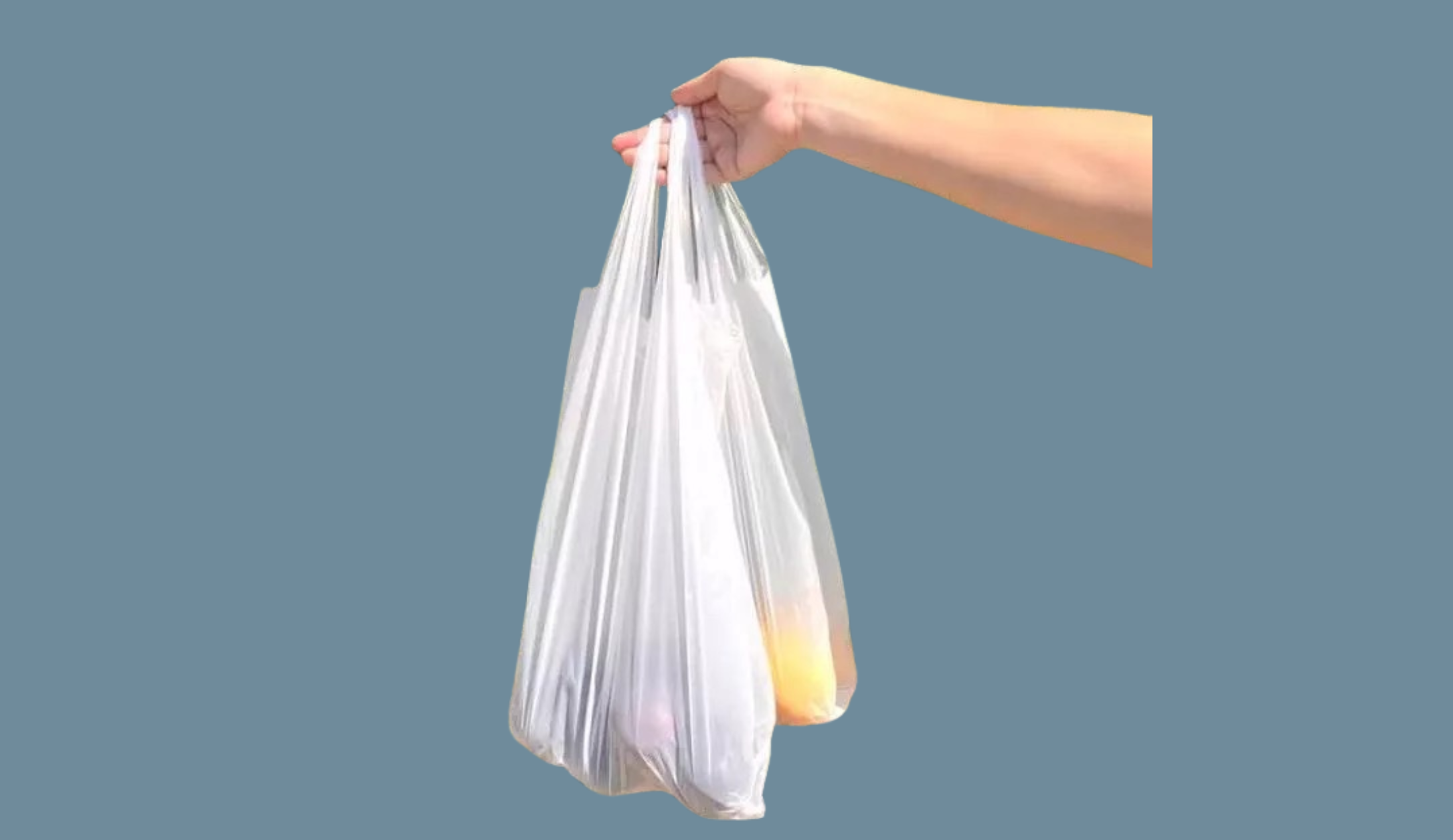 Bolsa camiseta