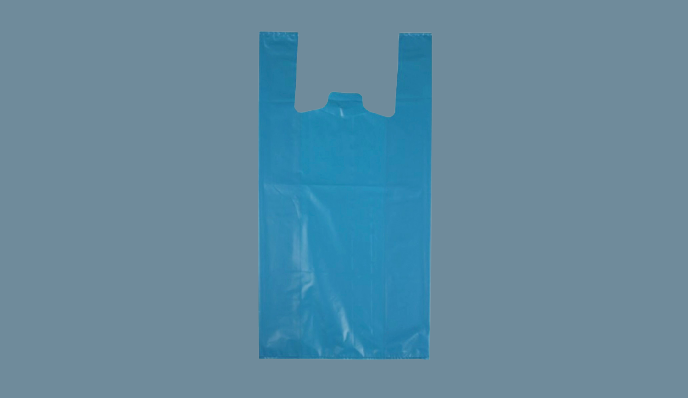 Bolsa camiseta — imagen 6