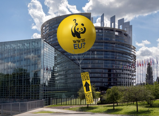WWTF EU ? — Campagne d'activation