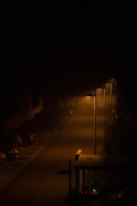 Photothèque — détail 1