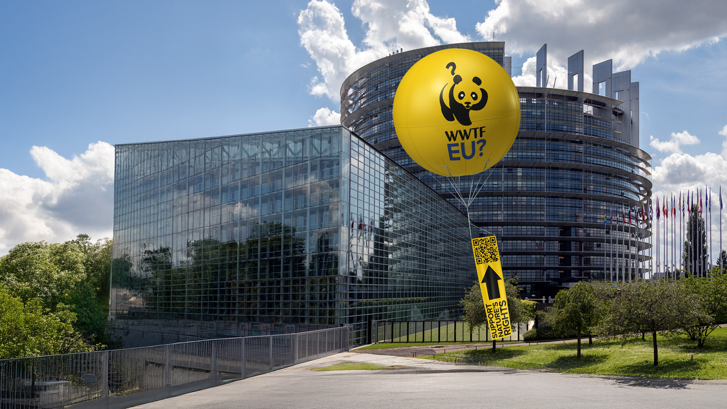 WWTF EU ? — visuel panoramique