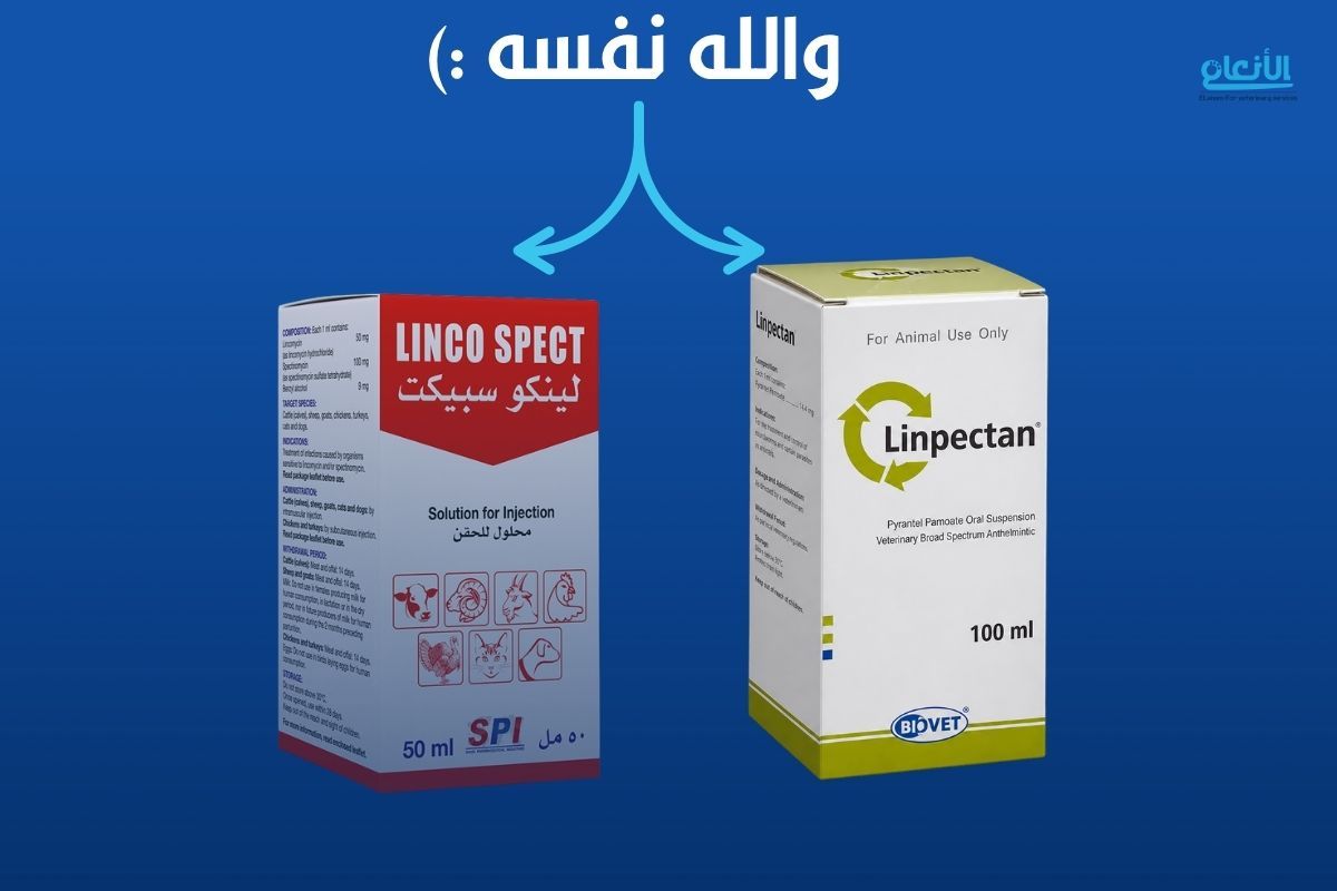 هل  البياطرة بينصبوا علينا ويبيعون الأدوية وخلاص ؟