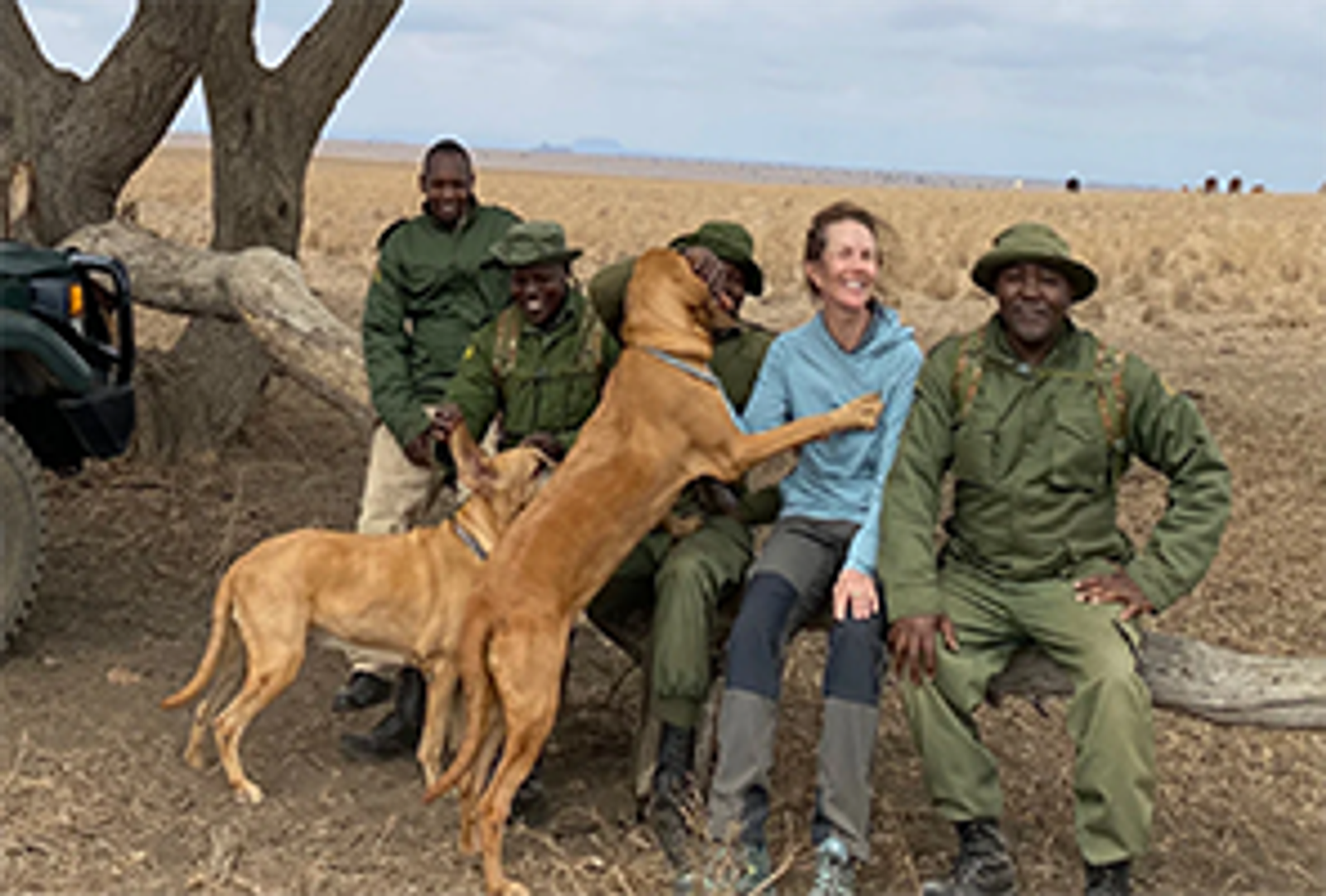 A woman and four men in green uniforms sit on a fallen tree branch in a dry savanna, interacting with two light brown dogs.