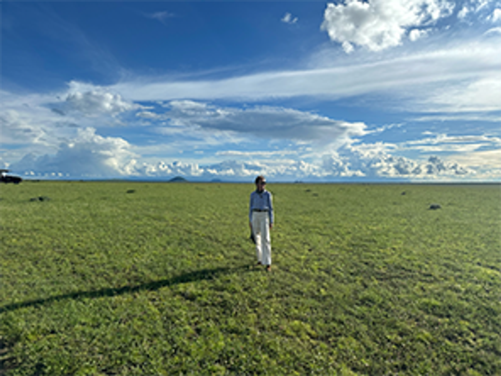 A person walks through an expansive green plain under a cloudy sky.