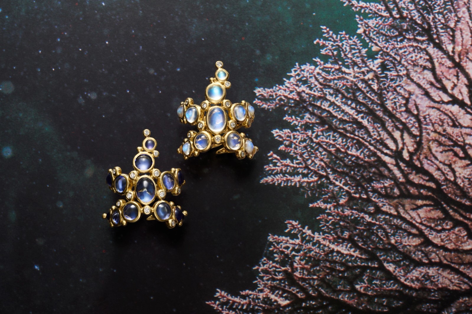 Two gold starfish-shaped jewels with blue moonstones and small gems, against a dark speckled background and pink coral.