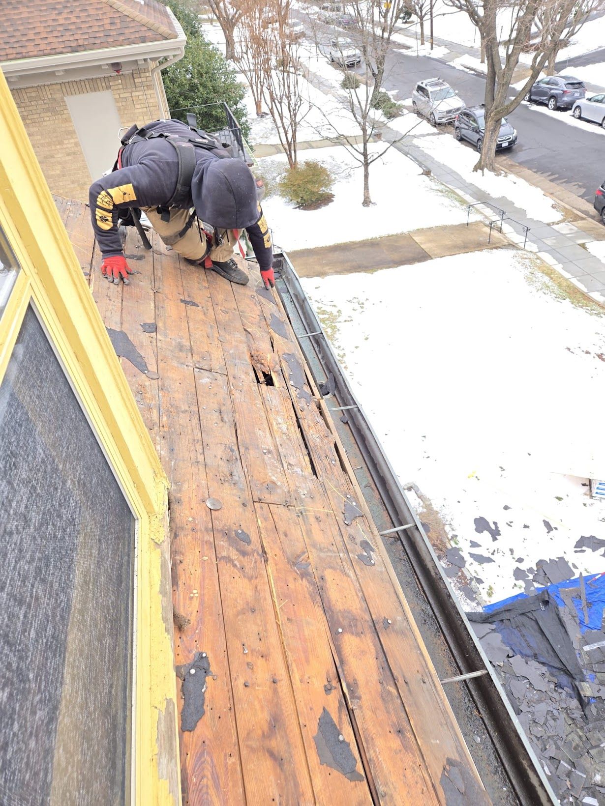 Gutter Services
