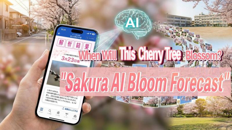 ウェザーニューズ、最新のAI技術で「開花・満開日」をピンポイント予測