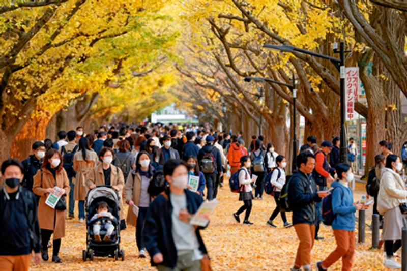 日本インフルエンザ感染拡大が続く 全国 8000 校超で休校