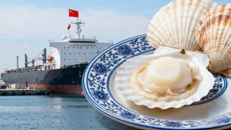 北海道帆立貝、中国輸出再開 
