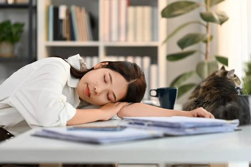 午後の猛烈な眠気は「意志の弱さ」か、それとも身体が発する切実な「SOS」か？