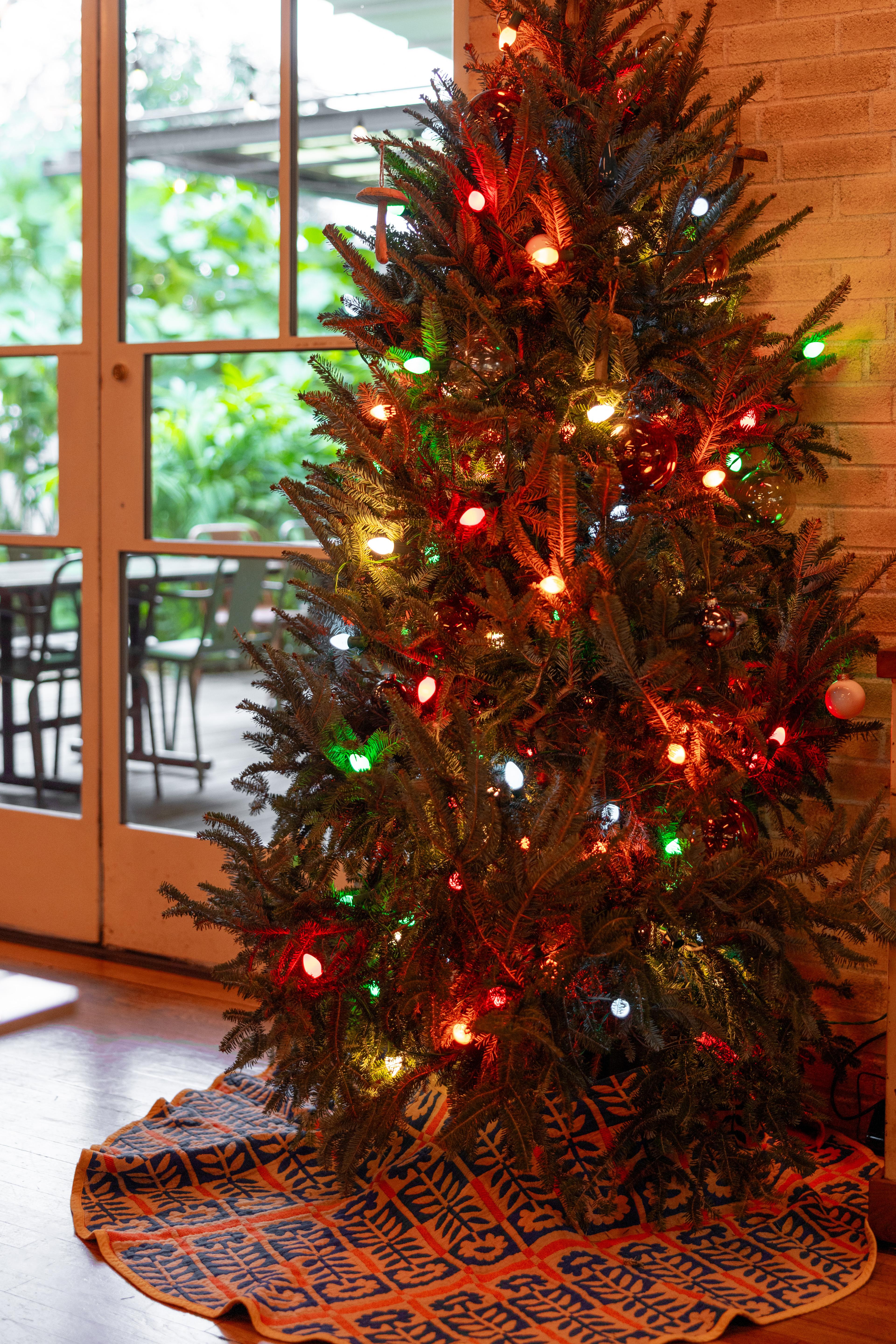Christmas tree.
