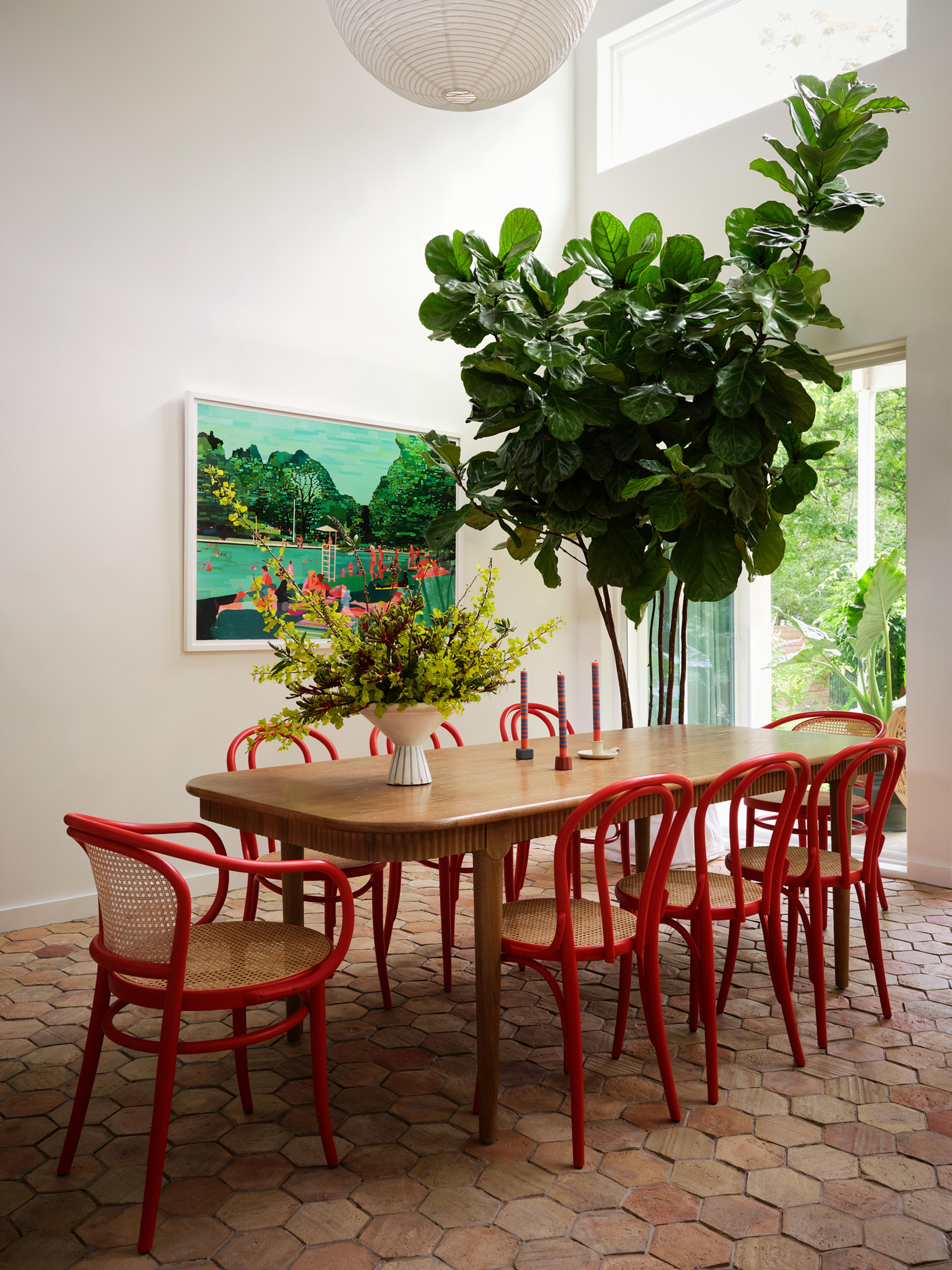 Red chairs around a dining table with a fiddle leaf fig in the corner. 