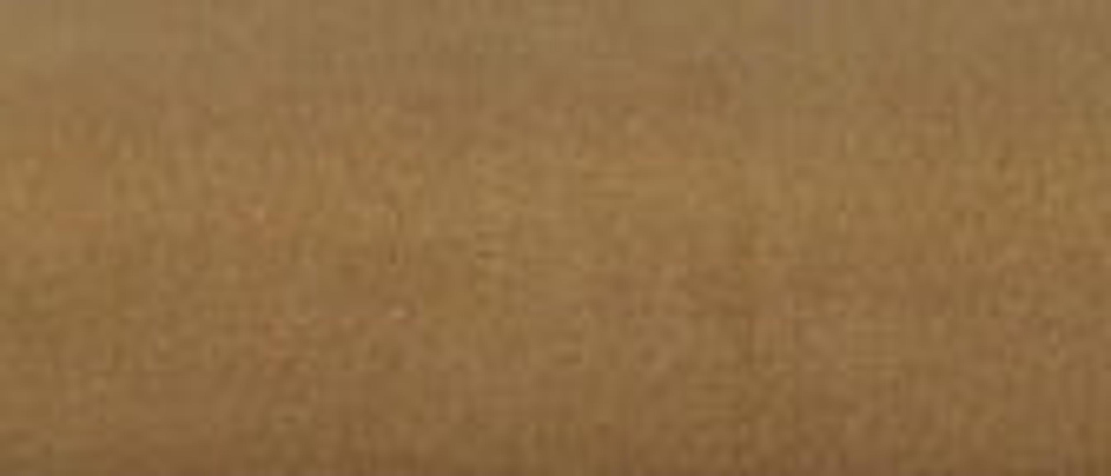 Swatch for Camel Velvet