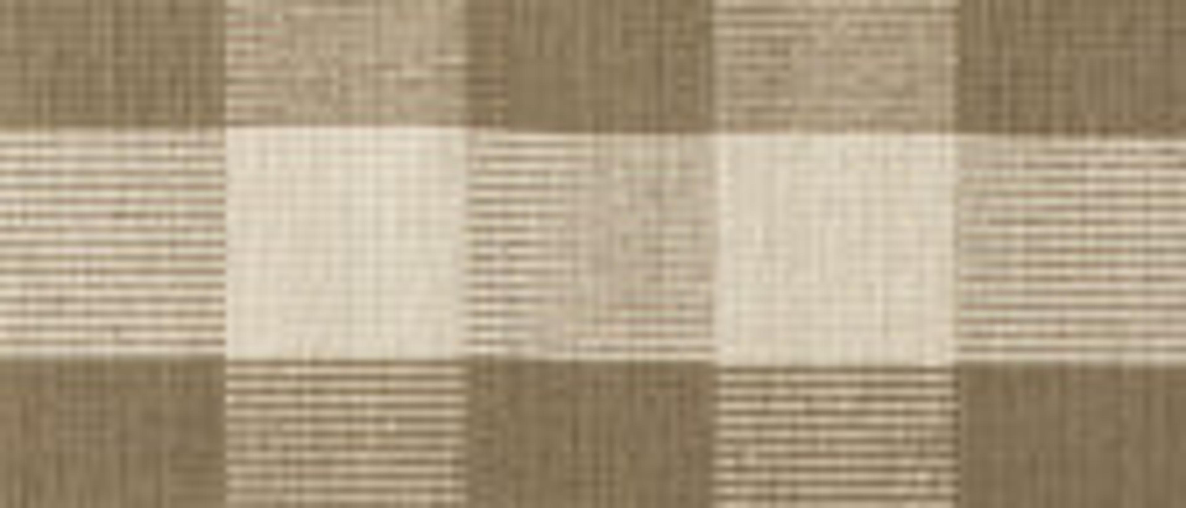 Swatch for Olive + Sage