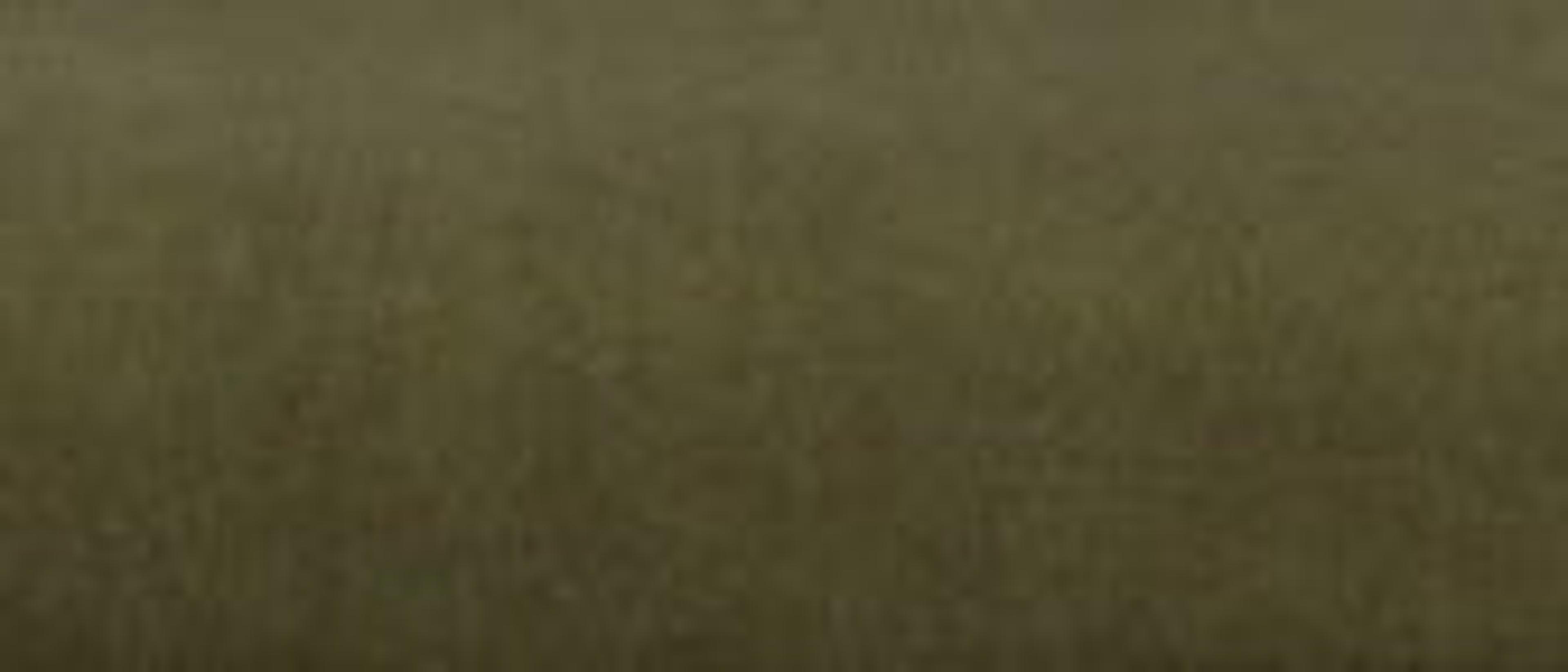 Swatch for Alder Velvet