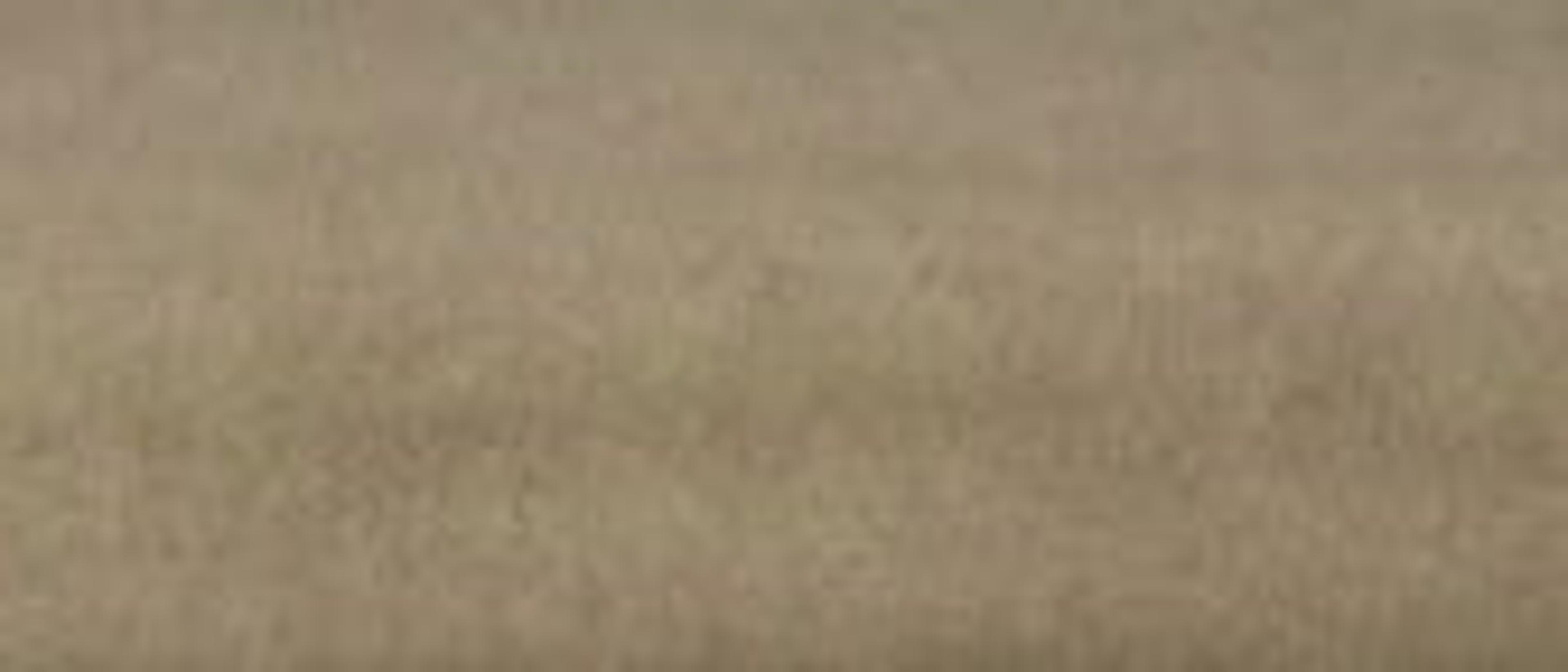 Swatch for Olive Velvet