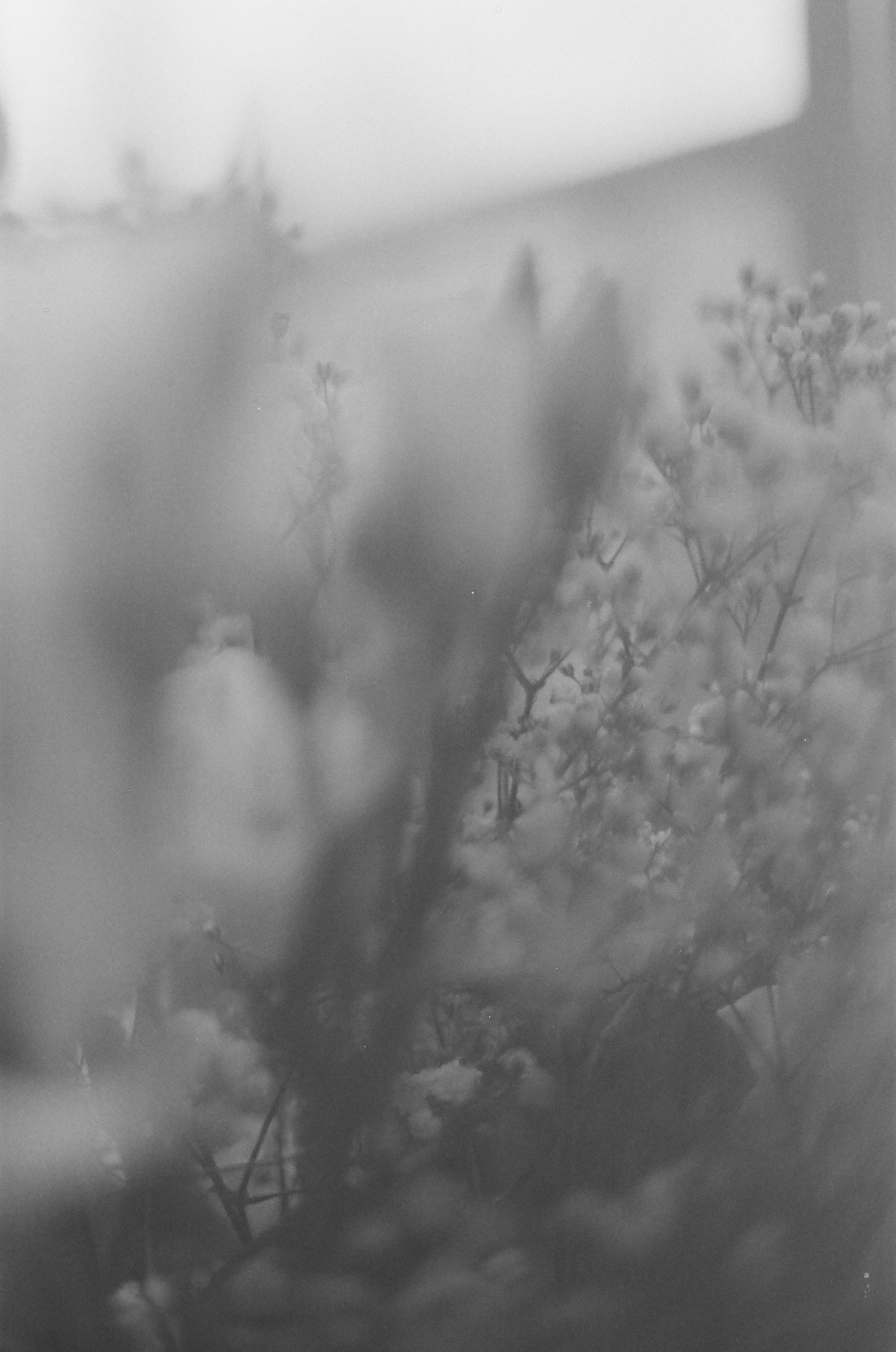 Photography