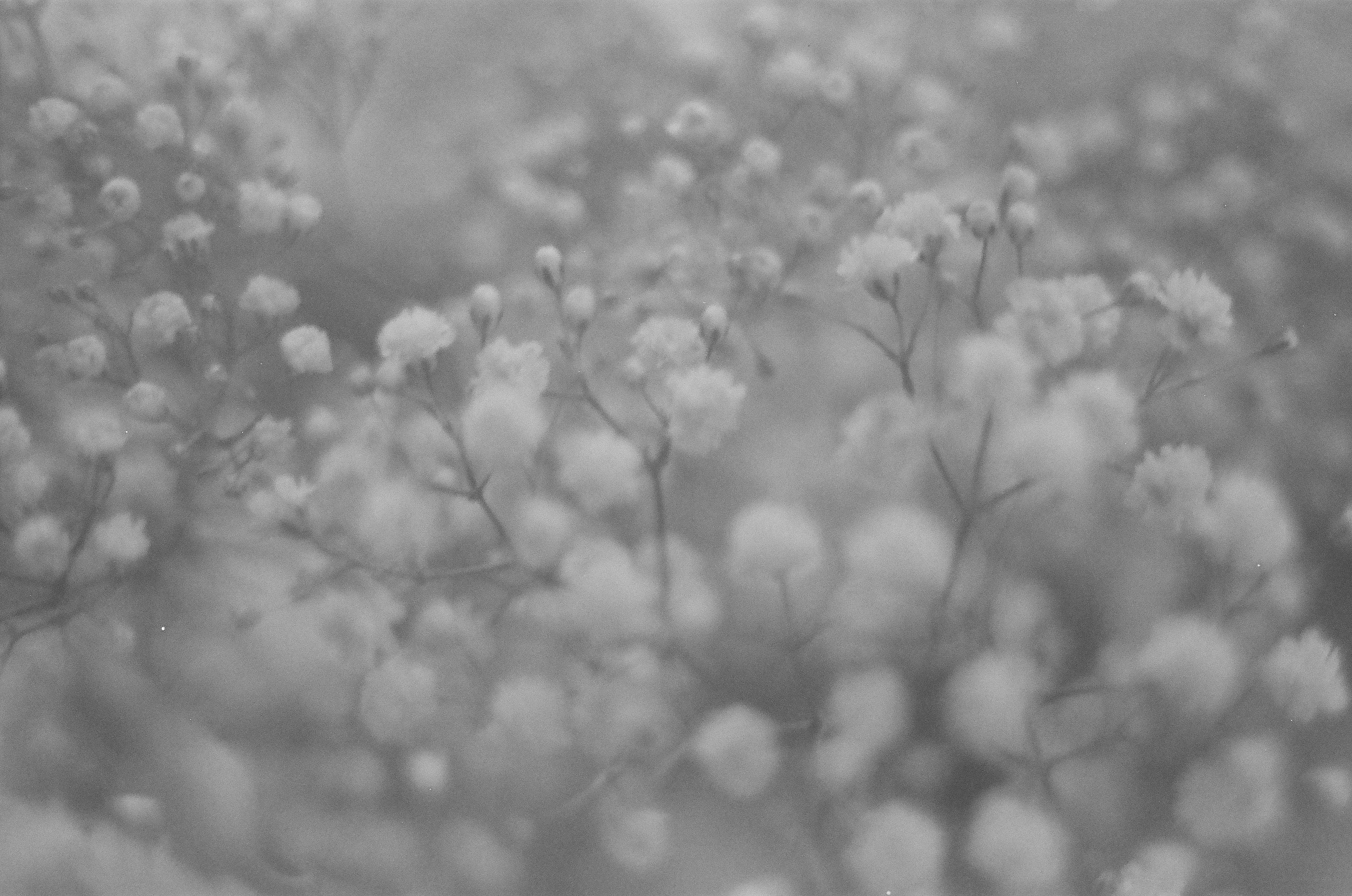 Photography
