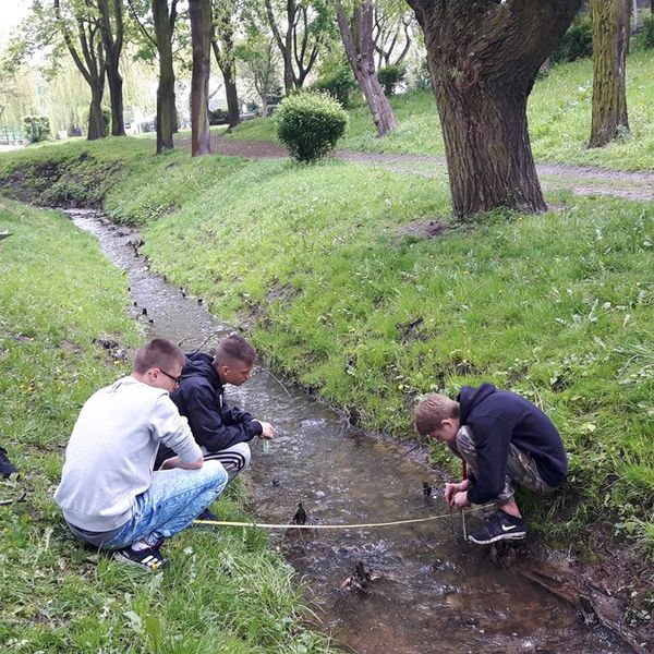 Zajęcia terenowe z geografii (zdjęcie 7)