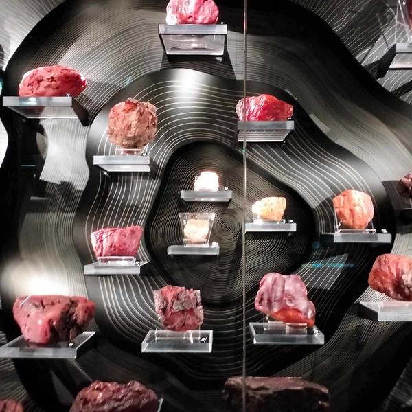 410353059_830747289053097_7191676863440596359_n