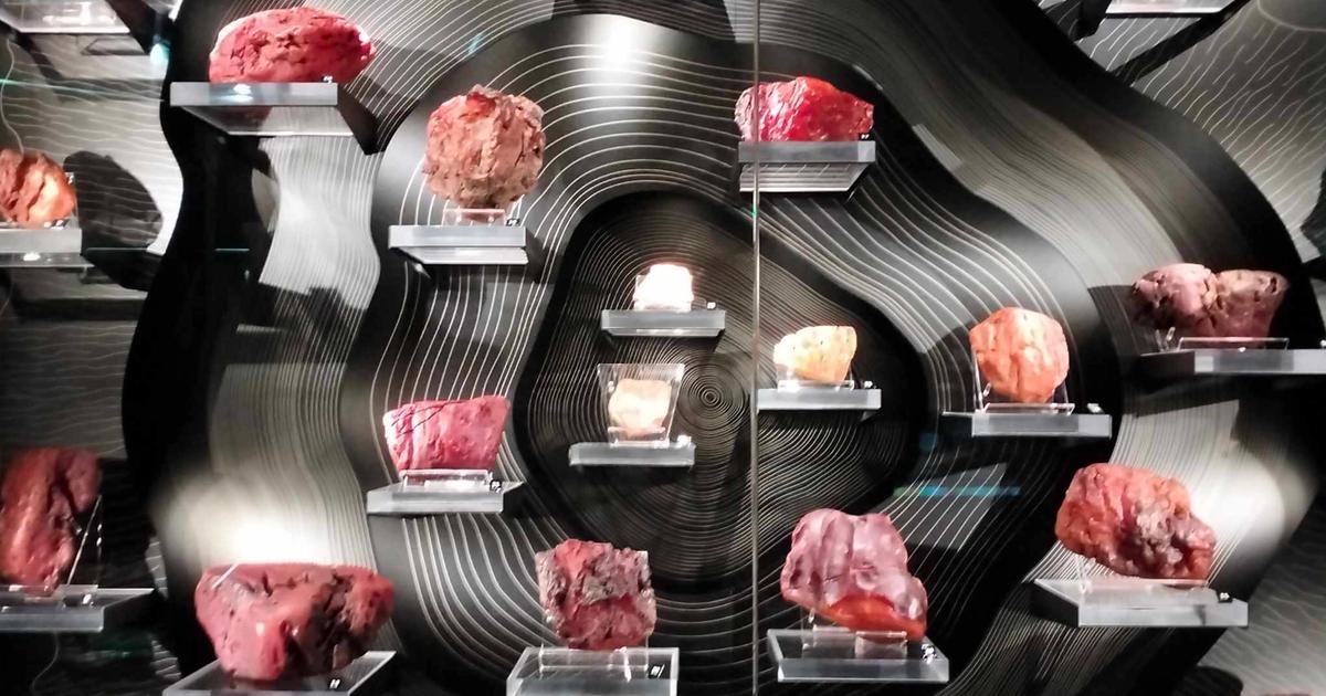 410353059_830747289053097_7191676863440596359_n