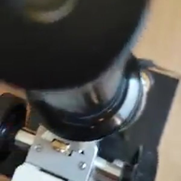 Klatka z filmu 1 — Świat mikro na zajęciach dodatkowych z biologii