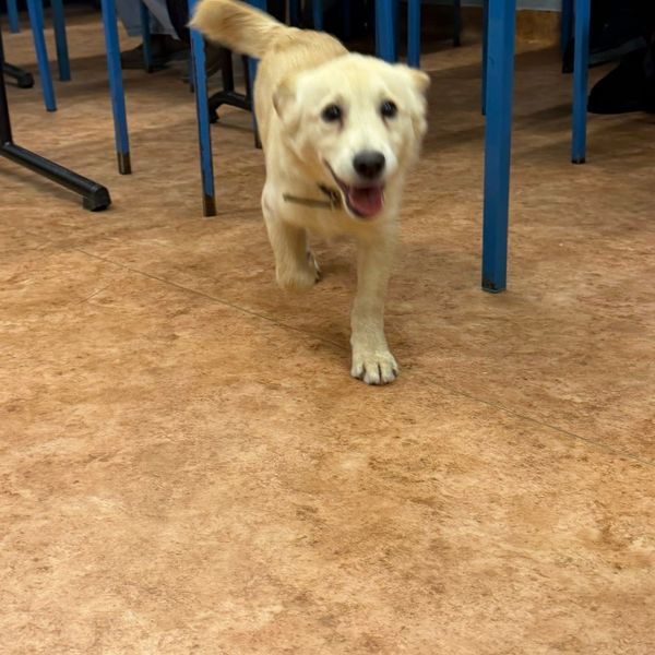 Z telefonuZdjęcia z telefonu (zdjęcie 2)