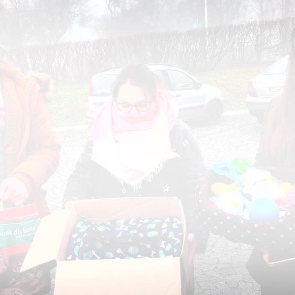 Klatka z filmu 5 — Zespół Szkół Menedżerskich w Świeciu - Grudzień 2019Zespół S