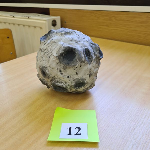 Dnia 27.02.2025r (zdjęcie 10)