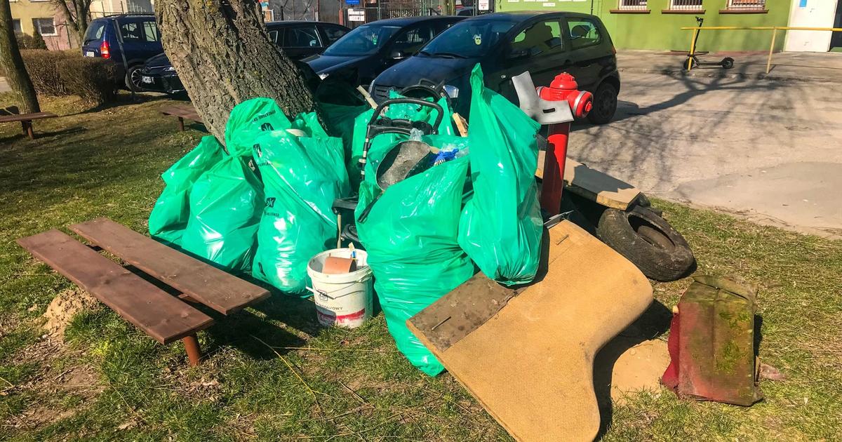 Sprzątanie świata 2022