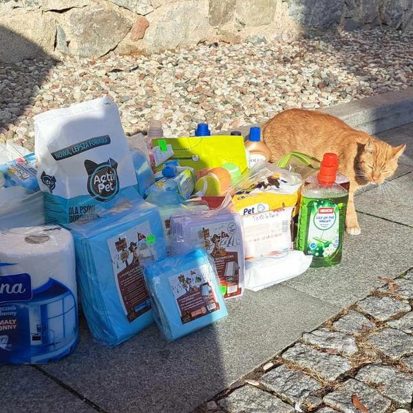 Zakończyliśmy akcję charytatywną Październik miesiącem dla schroniska