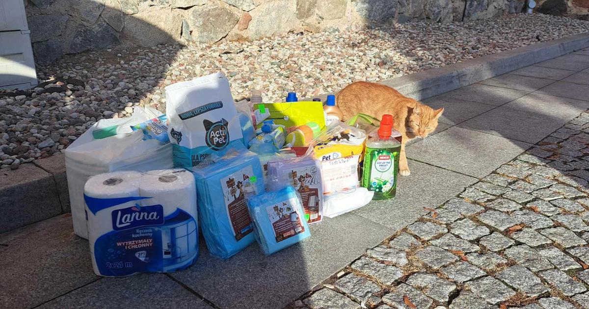 Zakończyliśmy akcję charytatywną Październik miesiącem dla schroniska