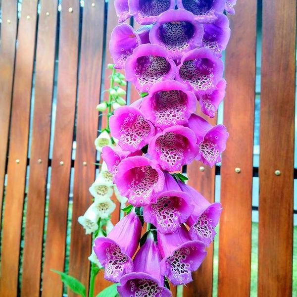 Bitewny kurz Menedżerady już opadł, a grupa zwycięzców z klasy II TA wraz z wychowawcą Mirosławą Kru (zdjęcie 5)