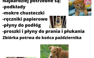 ZSM Wolontariat PARO zaprasza do udziału w zbiórce "Październik dla schroniska"
