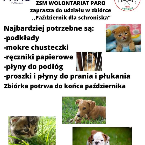 ZSM Wolontariat PARO zaprasza do udziału w zbiórce "Październik dla schroniska"