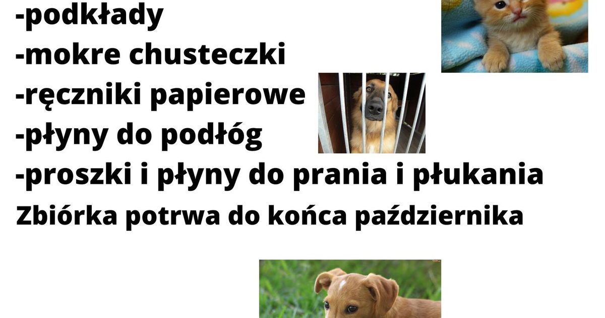 ZSM Wolontariat PARO zaprasza do udziału w zbiórce "Październik dla schroniska"