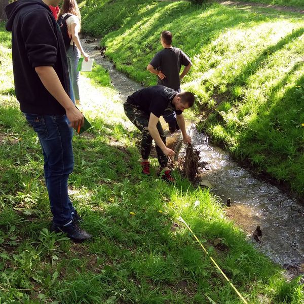 Zajęcia terenowe z geografii (zdjęcie 9)